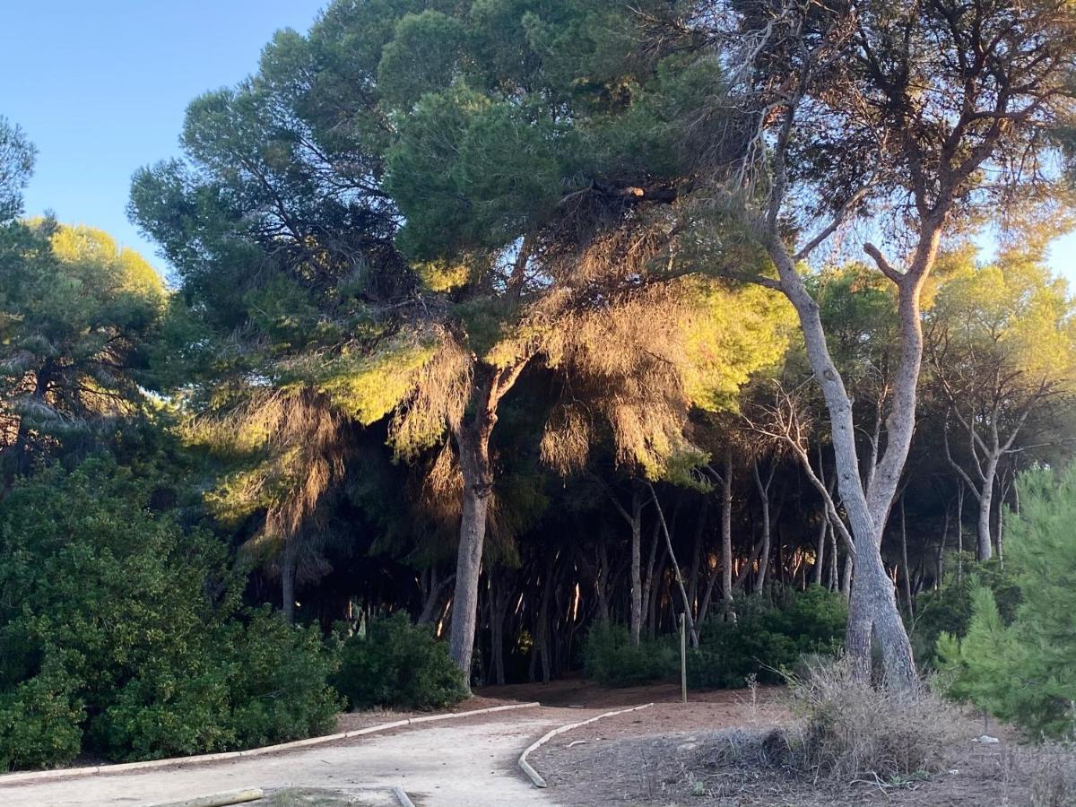 Apartamento Hermosa Glea Campoamor Kültér fotó