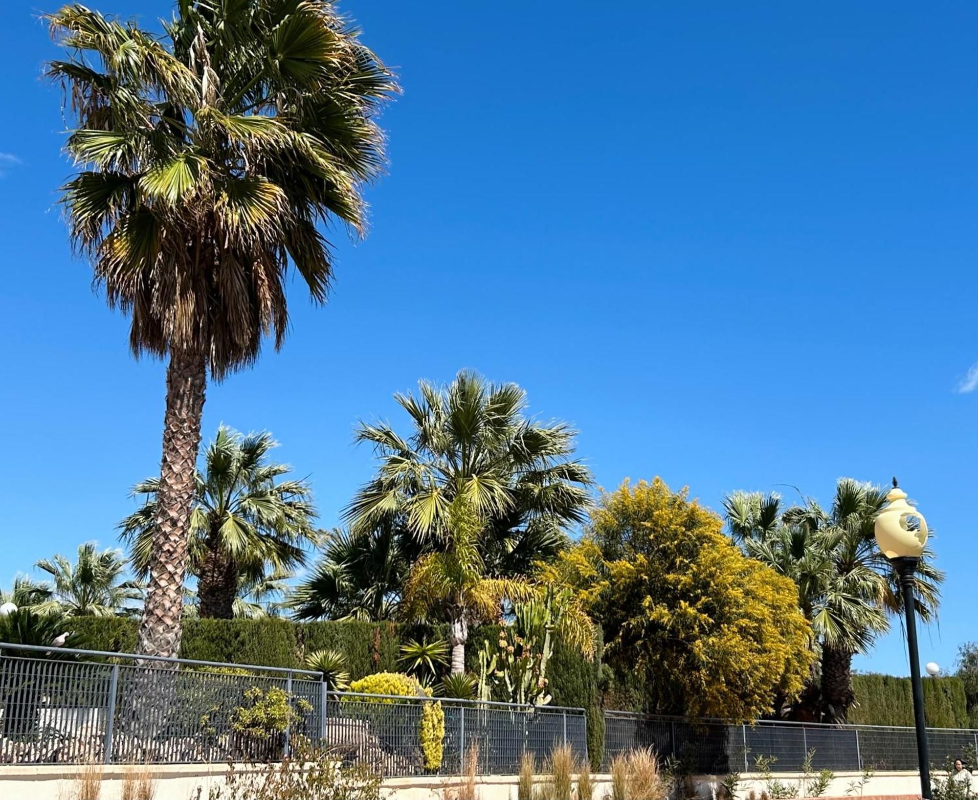 Apartamento Hermosa Glea Campoamor Kültér fotó